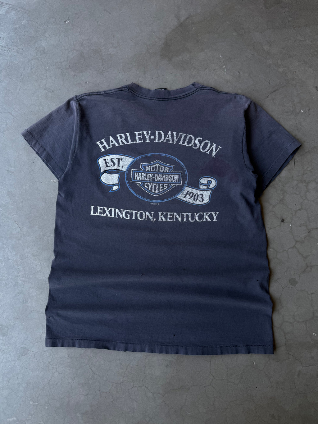 1990s Extremely Faded & Distressed Harley Davidson Monumental Tee(L)