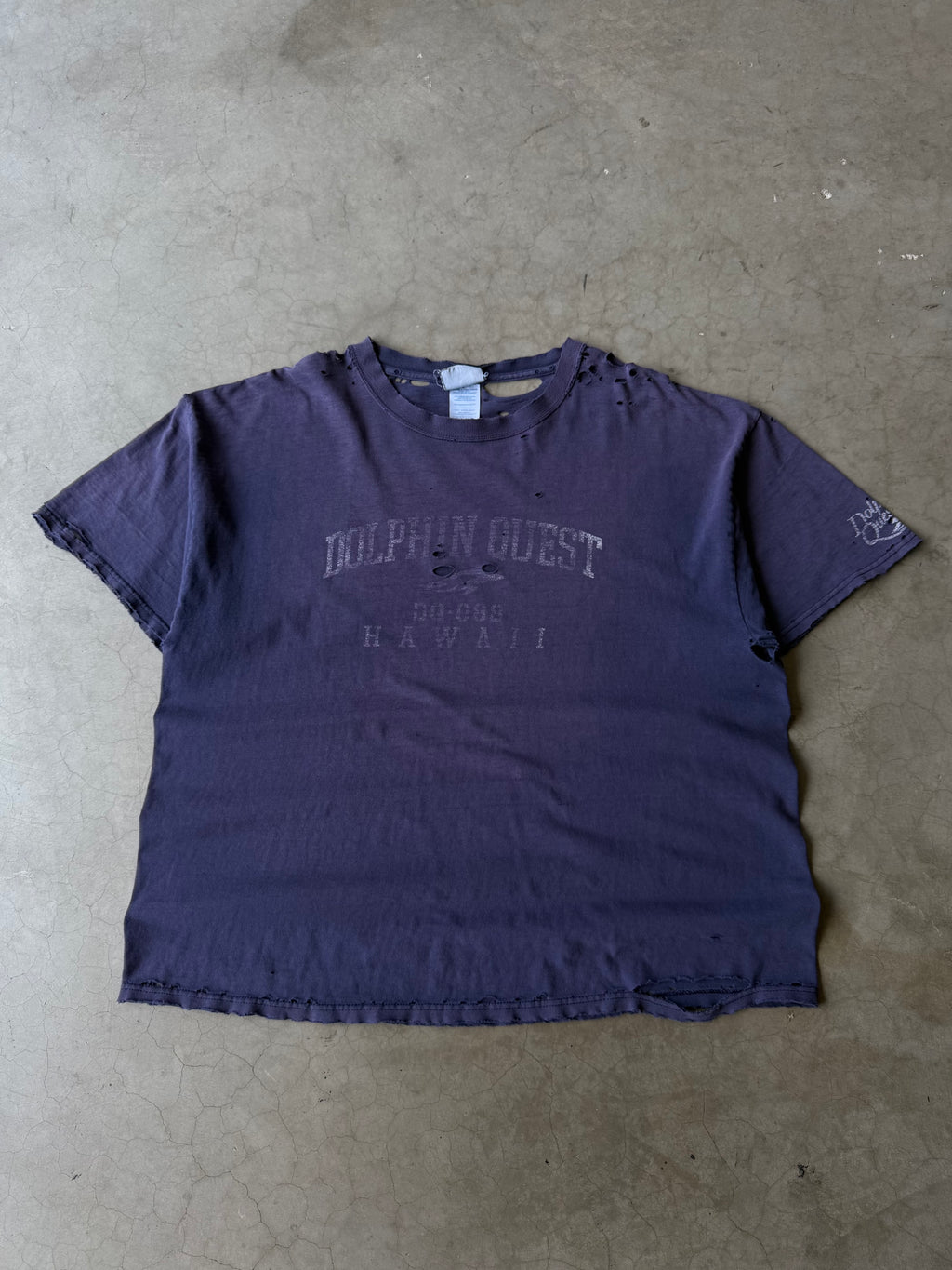 Early 2000s Extremely Distressed Dolphin Quest Tee(XL)