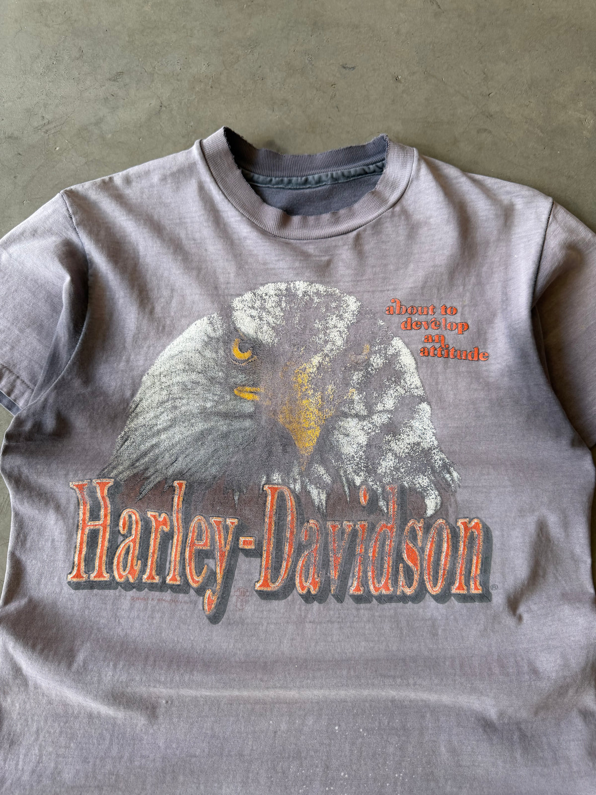 1980s Extremely Faded & Distressed Harley Davidson Eagle Tee(M)