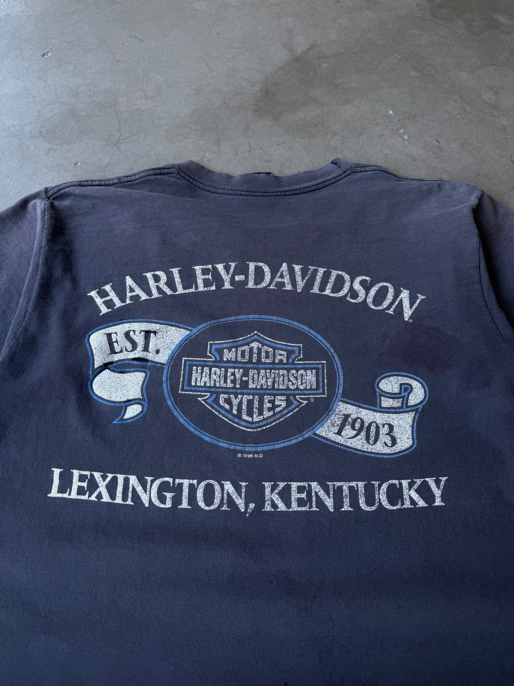 1990s Extremely Faded & Distressed Harley Davidson Monumental Tee(L)