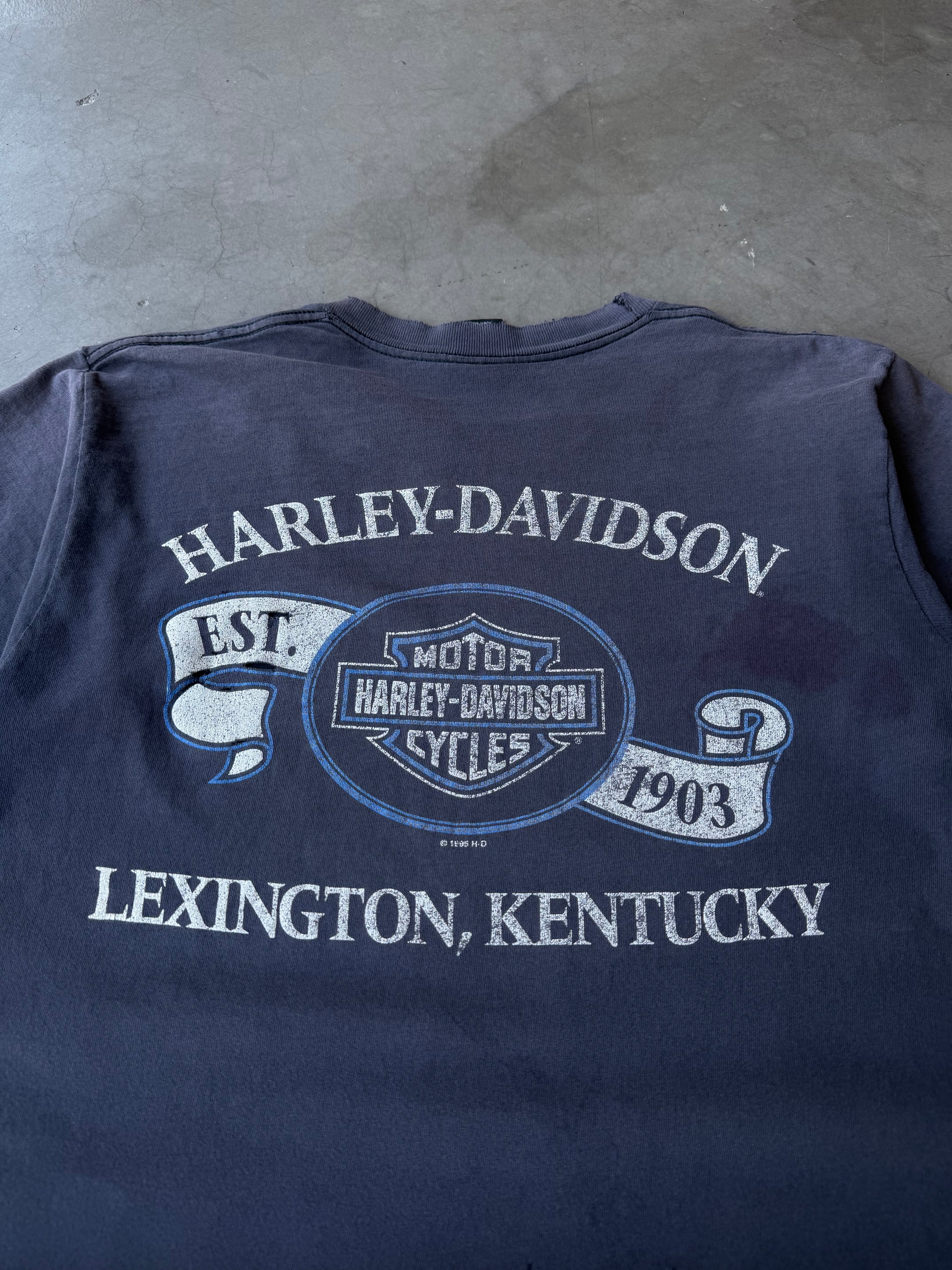 1990s Extremely Faded & Distressed Harley Davidson Monumental Tee(L)