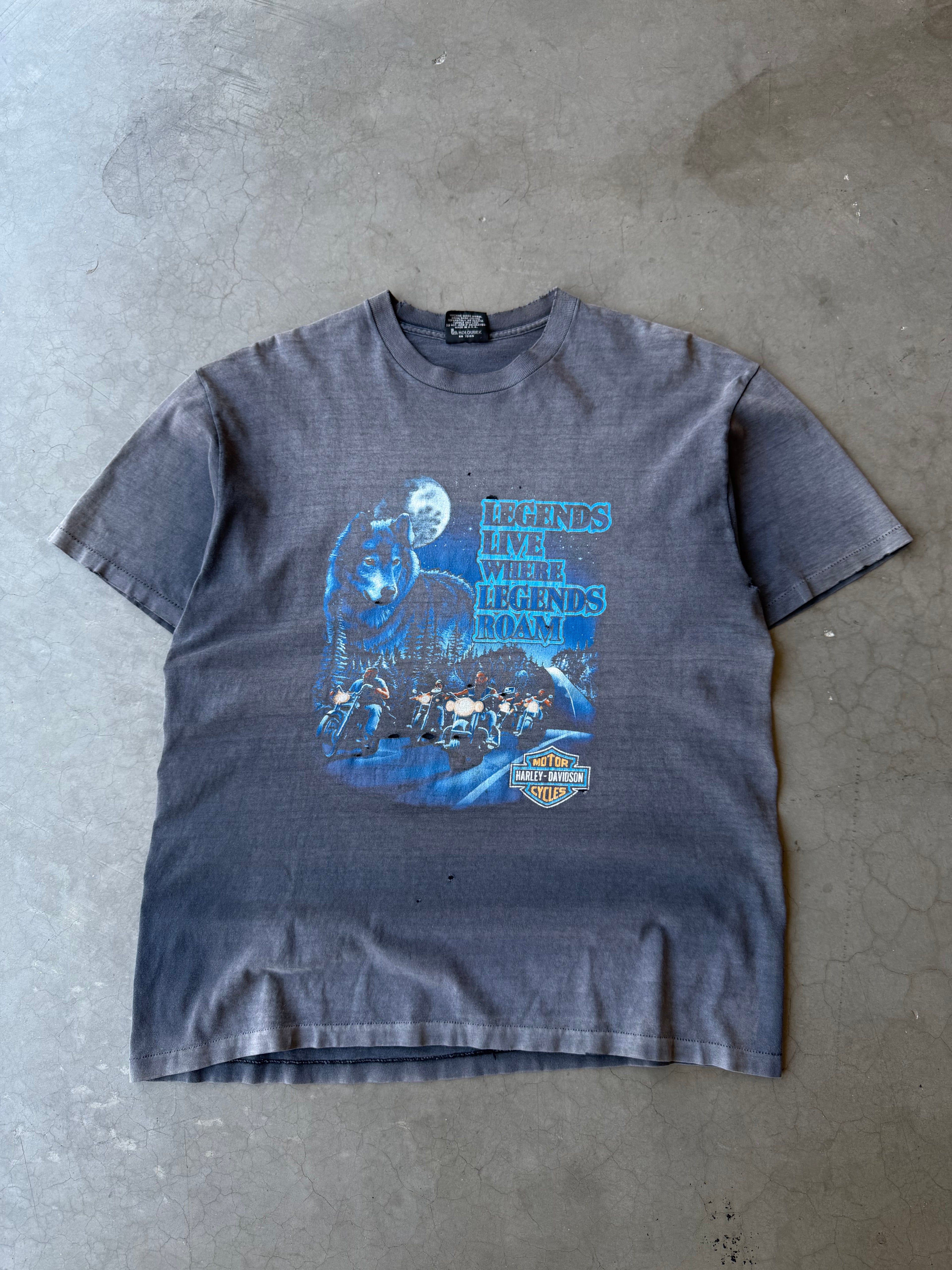 1990s Extremely Faded Legends Roam Harley Davidson Tee(XL)