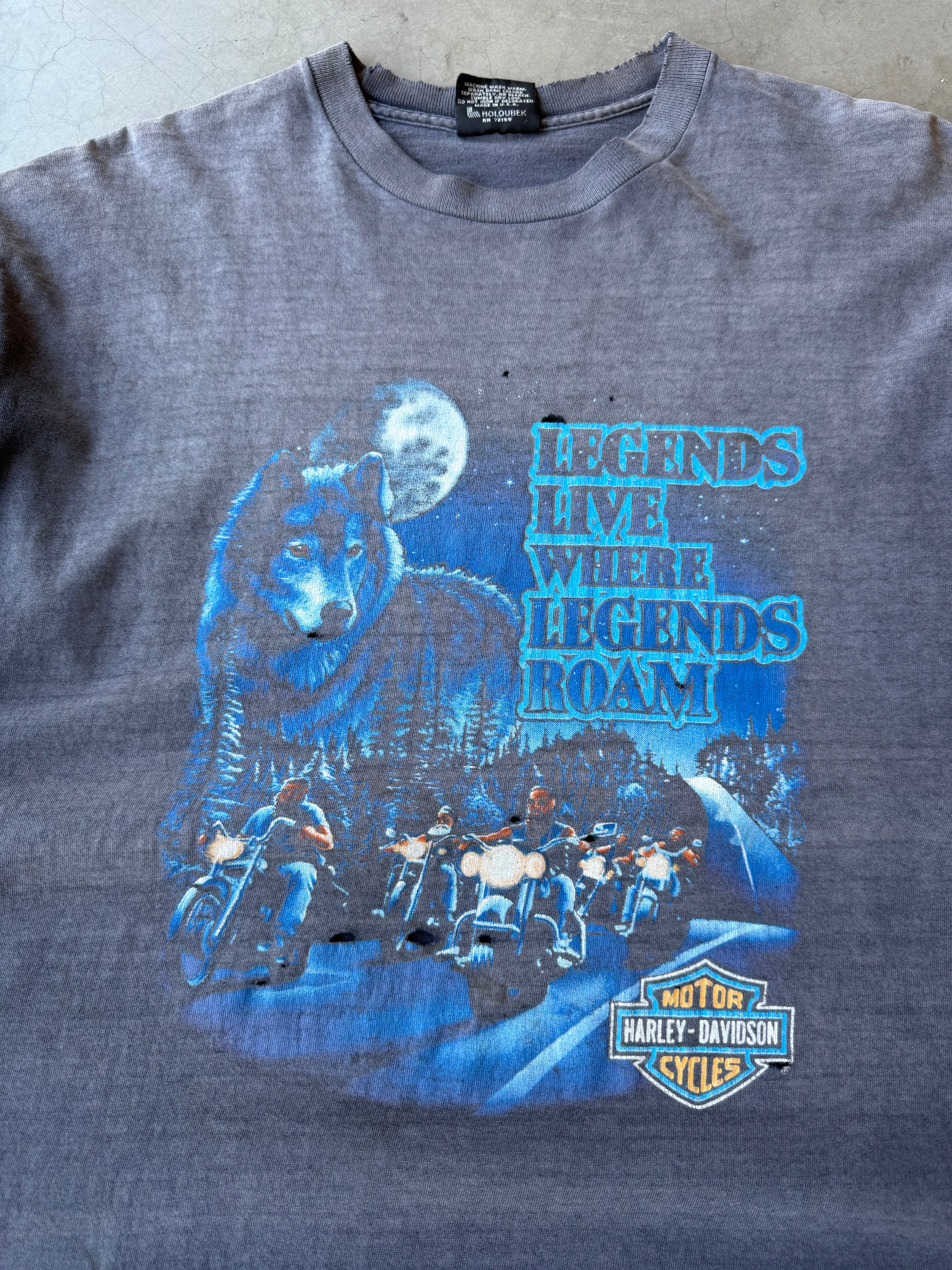 1990s Extremely Faded Legends Roam Harley Davidson Tee(XL)
