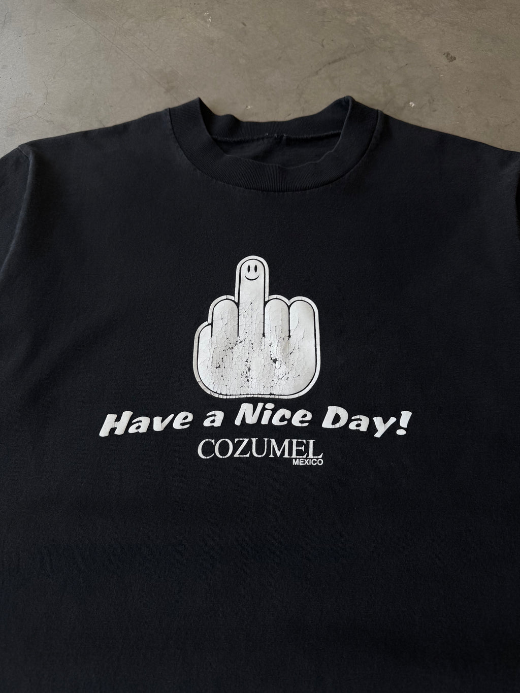 Early 2000s Have a Nice Day! Middle Finger Tee(L)