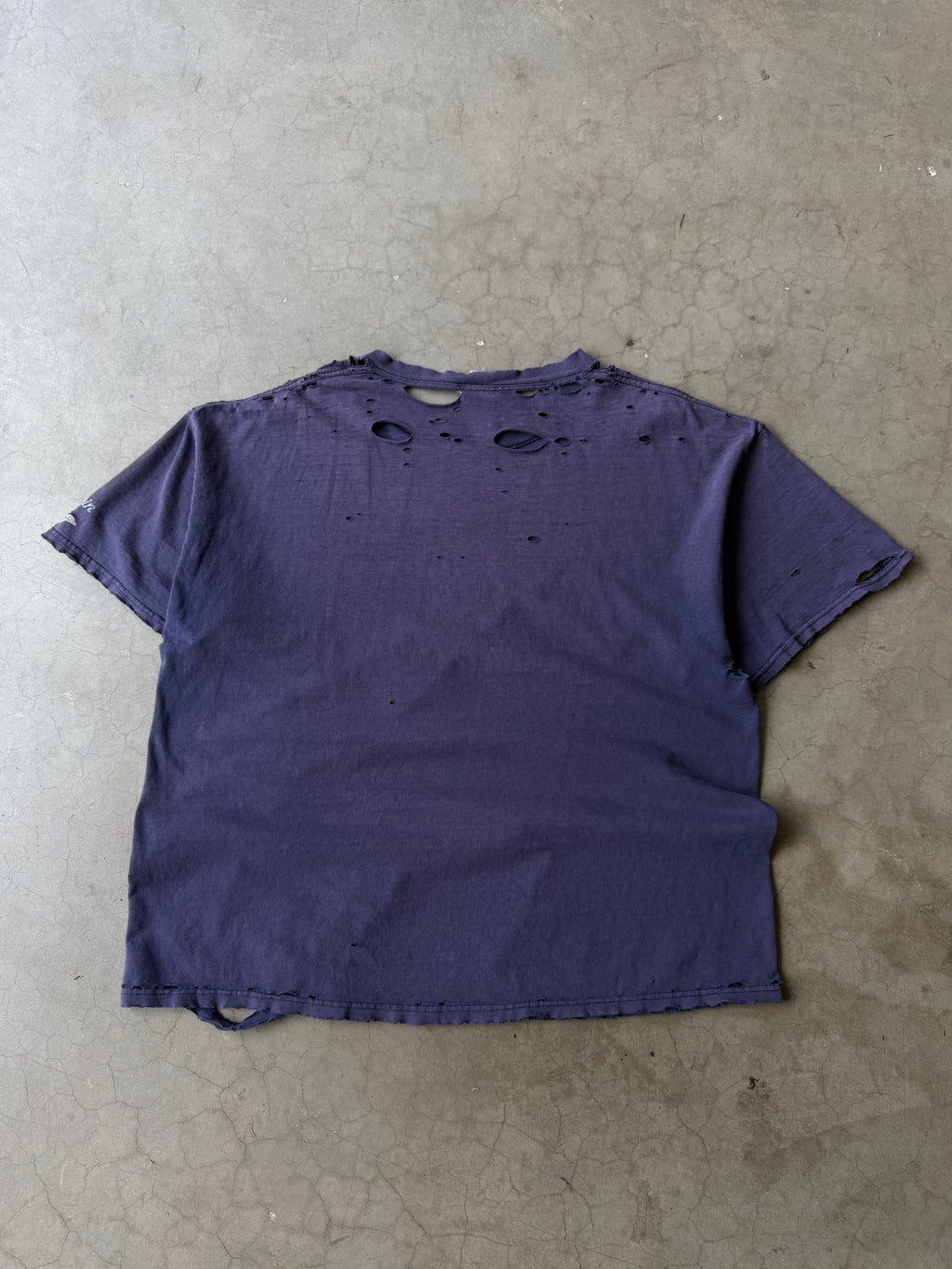 Early 2000s Extremely Distressed Dolphin Quest Tee(XL)