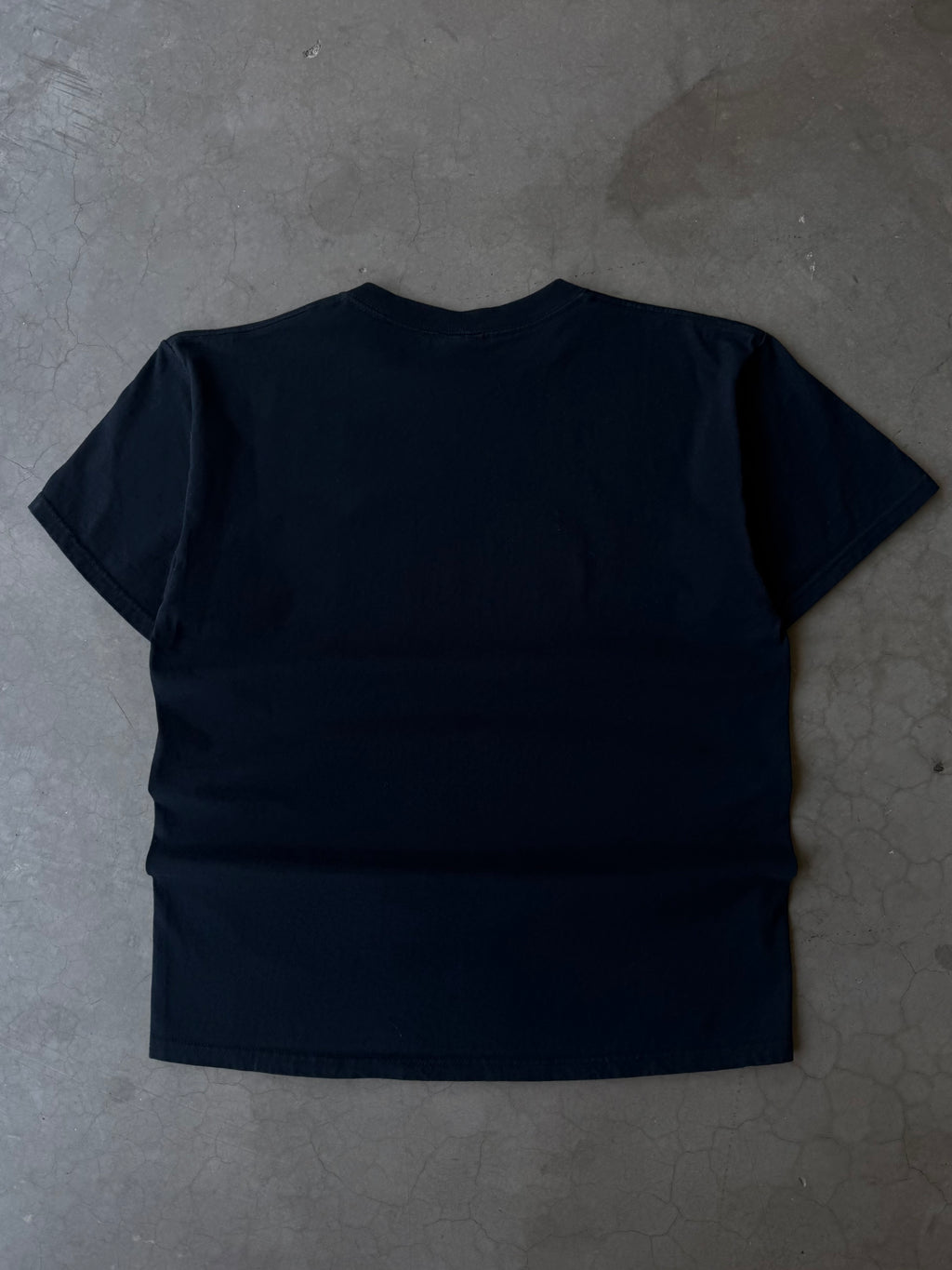 Early 2000s Good Bush Bad Bush Tee(L)